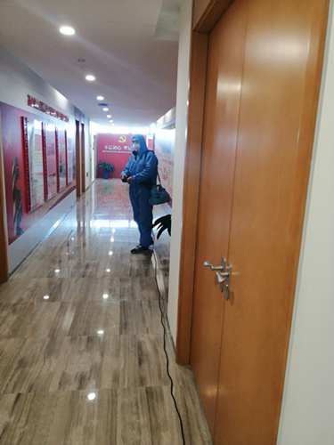 如何進(jìn)行寵物消毒？專業(yè)的消毒公司告訴您